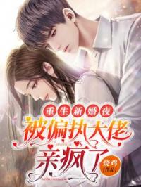 重生新婚夜，被偏执大佬亲疯了完整版 时九念傅景琛全章节阅读