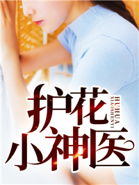 护花使者林平李芸汐全本大结局阅读