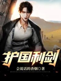 护国利剑(林霄秦婉秋)全文完结在线阅读完整版