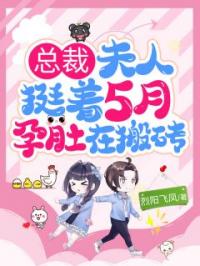 总裁，夫人挺着5月孕肚在搬砖聂夭夭许墨衍小说全文阅读