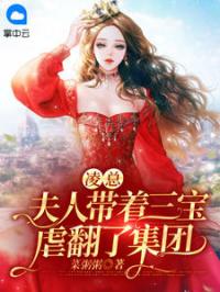 凌总，夫人带着三宝虐翻了集团白苏然凌亦琛未删减版全集在线阅读