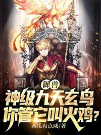 《御兽：神级九天玄鸟，你管它叫火鸡？》王根基岳瑶小说精彩内容在线阅读