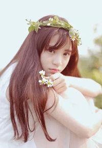 《退婚后，修仙女配靠弹幕翻盘了》小说全文精彩章节在线阅读（宋锦抒秦书礼）