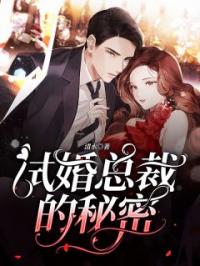 试婚总裁的秘密完整全文阅读 唐晓蝶陈洛言小说结局无删节