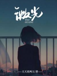 微光乔安林成小说全文免费试读