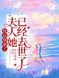 沈总别虐了，夫人她已经去世了全章节免费在线阅读 楚鸢沈时泽小说完结版
