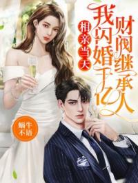 相亲当天，我闪婚千亿财阀继承人完整小说目录在线阅读 (沈芳菲陆景川) 大结局无弹窗