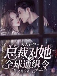 夫人有孕，总裁对她下达全球通缉令！乔洛离夜战霆小说_夫人有孕，总裁对她下达全球通缉令！小说章节