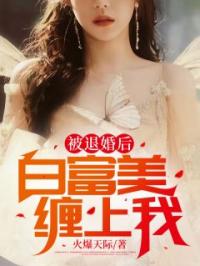 被退婚后，白富美缠上我小说全文精彩章节在线阅读（萧尘宋清欢）