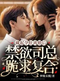 《藏起孕肚离婚后，禁欲司总跪求复合》小说全文精彩章节在线阅读（盛眠晚司宇景）