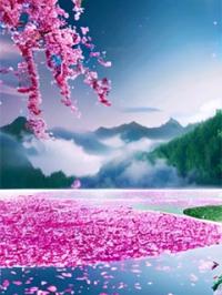 开局流放：姐空间物资养活全家唐心月齐云风小说全部章节目录