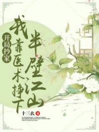 开局抄家，我靠医术挣下半壁江山全文免费试读 沈半见白朝寒小说大结局无弹窗