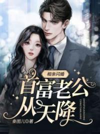 《相亲闪婚，首富老公从天降》宋暖暖傅靳远全文阅读