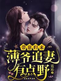 带崽归来，薄爷追妻有点野小说全集免费在线阅读（顾念安薄夜寒）