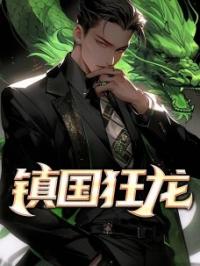 《镇国狂龙》小说全集免费在线阅读（萧北辰陆紫歌）
