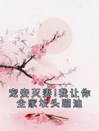 宠妾灭妻!我让你全家坟头蹦迪沈淳然江烨凤琉殇未删减版全集在线阅读