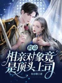江舒傅时晏小说章节目录 相亲当天，我和总裁上司领证了全文阅读