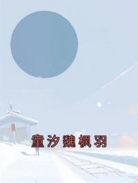 《童汐魏枫羽》小说全集免费在线阅读（童汐魏枫羽）