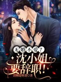 无婚不爱？沈小姐要辞职！小说全集免费在线阅读（沈晚意薄寒川）