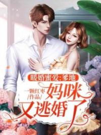 叶西宁战凌州小说阅读_叶西宁战凌州小说《暖婚蜜爱：爹地，妈咪又逃婚了！》