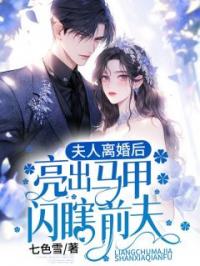 夫人离婚后，亮出马甲闪瞎前夫小说全集免费在线阅读（赵蘅岚季朔光）