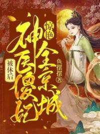 被休后：神医傻妃惊艳全京城风千岚萧南黎目录_被休后：神医傻妃惊艳全京城小说阅读