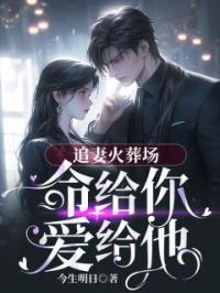 追妻火葬场，命给你爱给他小说全集免费在线阅读（秦雯喻少泽路遇）