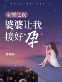 《新婚之夜，婆婆让我接好“孕”》小说完整版在线阅读（主角淑慧郑子健）