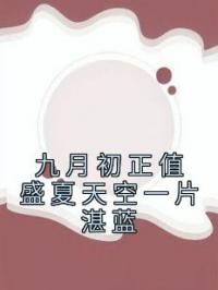 《九月初正值盛夏天空一片湛蓝》小说全集免费在线阅读（姜岁初陆祉年）