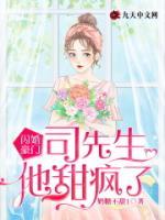 闪婚豪门，司先生他甜疯了by时小雨司夜云完整版 时小雨司夜云小说全集在线阅读