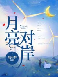 月亮对岸小说完整版在线阅读（主角周芷月赵理岸）