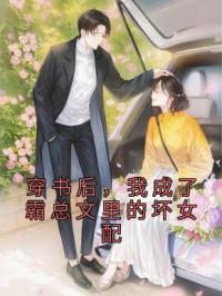 穿书后，我成了霸总文里的坏女配免费试读(纪宁姜堰小说全本资源) 无广告