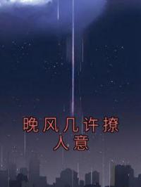 晚风几许撩人意周应淮江弥声免费在线全文阅读
