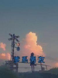 《爹系男友》杨璇陆书雁小说全文免费试读