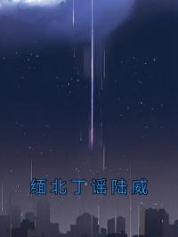 缅北丁谣陆威by丁谣陆威完整版 丁谣陆威小说全集在线阅读