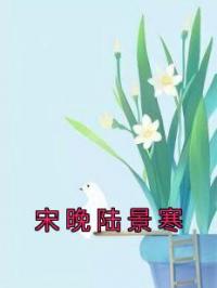 宋晚陆景寒小说全文精彩章节在线阅读（宋晚陆景寒）