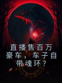 直播售百万豪车，车子自带魂环？林烨沈思思小说结局完整全文