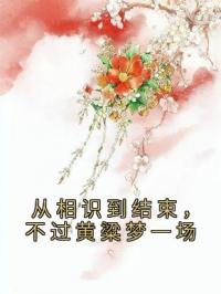霍璇越文廷小说大结局在线阅读 从相识到结束，不过黄粱梦一场小说免费试读