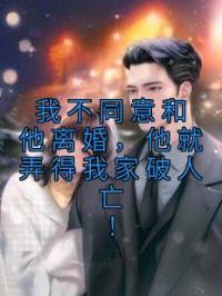 我不同意和他离婚，他就弄得我家破人亡！by黎灵溪季宸宴完整版 黎灵溪季宸宴小说全集在线阅读