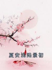 夏安浅陆景初小说《夏安浅陆景初》全文及大结局精彩试读