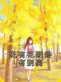 花有花期终有别离阮思娴傅明予小说精彩章节在线阅读