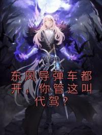 《东风导弹车都开，你管这叫代驾？》小说全文精彩章节在线阅读（云霄李扬）