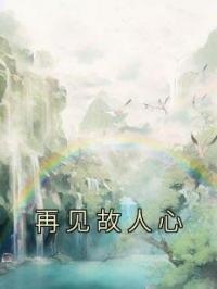 《再见故人心》小说全集免费在线阅读（林清欢沈泽林芊雪）