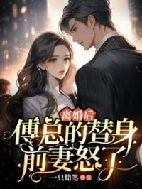 离婚后，傅总的替身前妻怒了沈凝傅孟辰目录_离婚后，傅总的替身前妻怒了小说阅读
