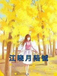 江晓月陆铖小说章节目录 江晓月陆铖全文阅读