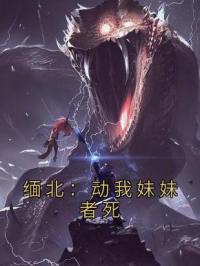 缅北：动我妹妹者死完整版全文阅读 许晨许欣小说 大结局