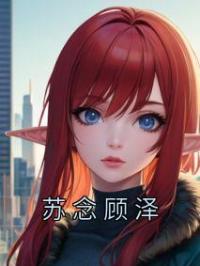 苏念顾泽苏念顾泽小说阅读_苏念顾泽文本在线阅读