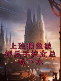 上班摸鱼被抓反手拉女总裁下水完整版 秦寻夏宁全章节阅读