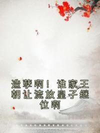 造孽啊！谁家王朝让流放皇子继位啊完整小说目录在线阅读 (唐梓昱婉儿) 大结局无弹窗