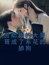 资助我的大哥哥成了系花的舔狗完整版全文阅读 阮暮贺朝小说 大结局